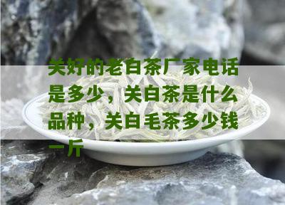 关好的老白茶厂家电话是多少，关白茶是什么品种，关白毛茶多少钱一斤