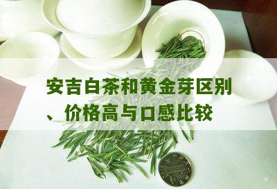 安吉白茶和黄金芽区别、价格高与口感比较