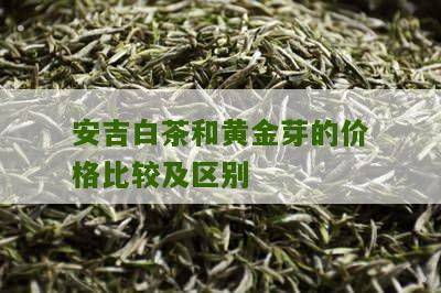 安吉白茶和黄金芽的价格比较及区别