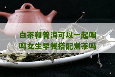 白茶和普洱可以一起喝吗女生早餐搭配煮茶吗