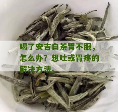 喝了安吉白茶胃不服，怎么办？想吐或胃疼的解决方法。