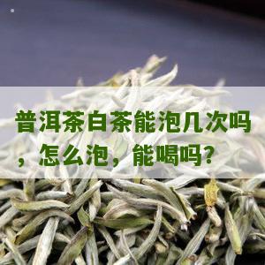 普洱茶白茶能泡几次吗，怎么泡，能喝吗？