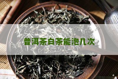 普洱茶白茶能泡几次