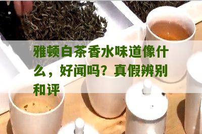 雅顿白茶香水味道像什么，好闻吗？真假辨别和评