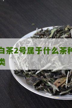 白茶2号属于什么茶种类