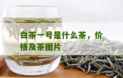 白茶一号是什么茶，价格及茶图片