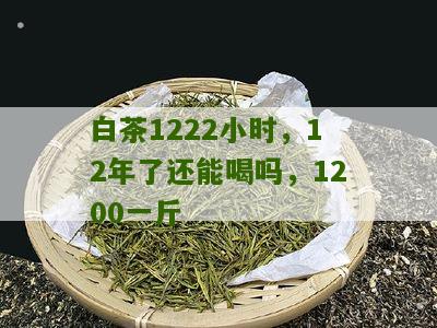 白茶1222小时，12年了还能喝吗，1200一斤