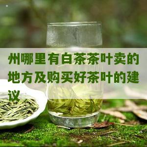 州哪里有白茶茶叶卖的地方及购买好茶叶的建议