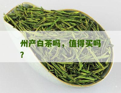 州产白茶吗，值得买吗？