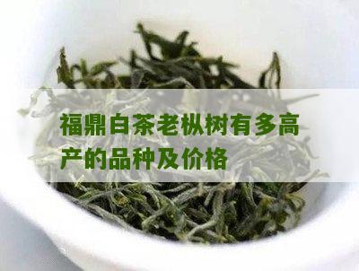 福鼎白茶老枞树有多高产的品种及价格