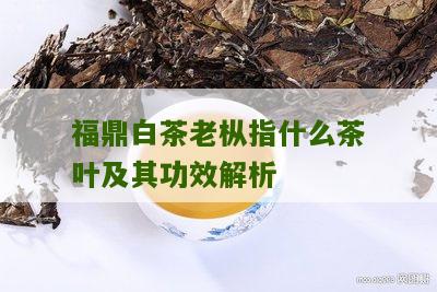 福鼎白茶老枞指什么茶叶及其功效解析