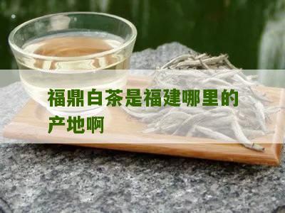 福鼎白茶是福建哪里的产地啊