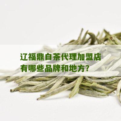 辽福鼎白茶代理加盟店有哪些品牌和地方？