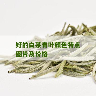 好的白茶青叶颜色特点图片及价格