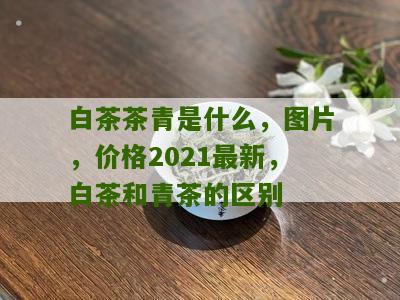 白茶茶青是什么，图片，价格2021最新，白茶和青茶的区别