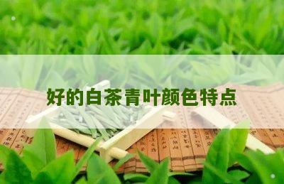 好的白茶青叶颜色特点