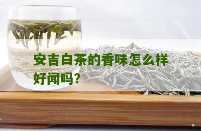 安吉白茶的香味怎么样好闻吗？