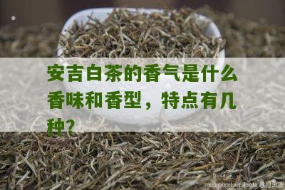 安吉白茶的香气是什么香味和香型，特点有几种？