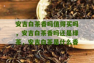 安吉白茶香吗值得买吗，安吉白茶香吗还是绿茶，安吉白茶是什么香