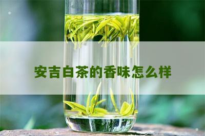 安吉白茶的香味怎么样