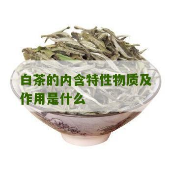 白茶的内含特性物质及作用是什么