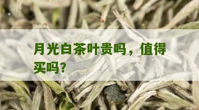 月光白茶叶贵吗，值得买吗？