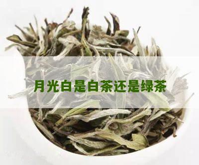 月光白是白茶还是绿茶