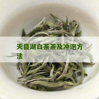 天目湖白茶茶及冲泡方法