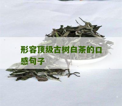 形容顶级古树白茶的口感句子