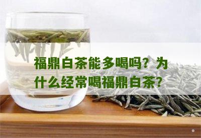 福鼎白茶能多喝吗？为什么经常喝福鼎白茶？