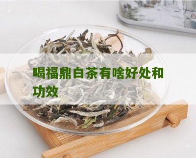 喝福鼎白茶有啥好处和功效