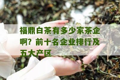 福鼎白茶有多少家茶企啊？前十名企业排行及五大产区