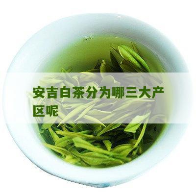 安吉白茶分为哪三大产区呢