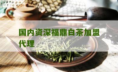 国内资深福鼎白茶加盟代理