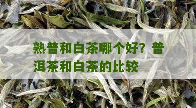 熟普和白茶哪个好？普洱茶和白茶的比较