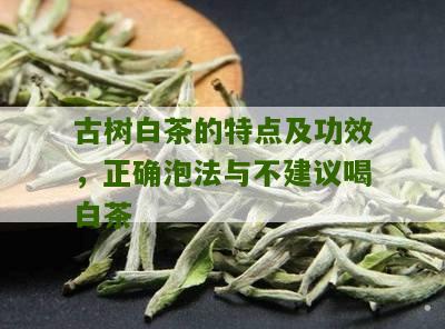 古树白茶的特点及功效，正确泡法与不建议喝白茶