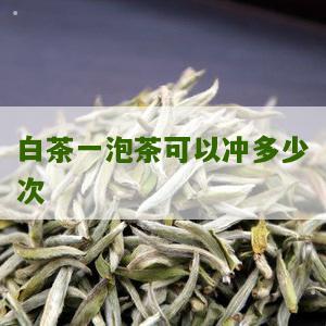 白茶一泡茶可以冲多少次