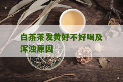 白茶茶发黄好不好喝及浑浊原因