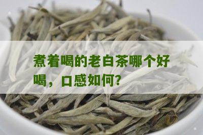 煮着喝的老白茶哪个好喝，口感如何？