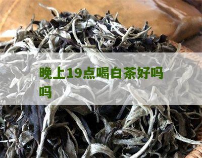 晚上19点喝白茶好吗吗