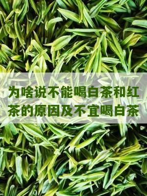 为啥说不能喝白茶和红茶的原因及不宜喝白茶