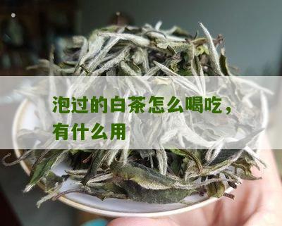 泡过的白茶怎么喝吃，有什么用