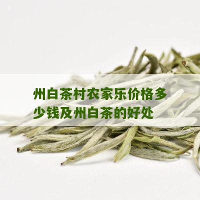 州白茶村农家乐价格多少钱及州白茶的好处