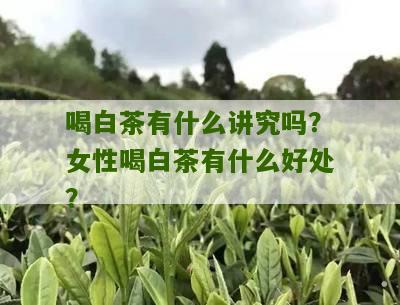 喝白茶有什么讲究吗？女性喝白茶有什么好处？