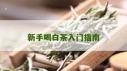 新手喝白茶入门指南