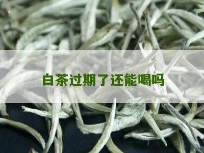 白茶过期了还能喝吗