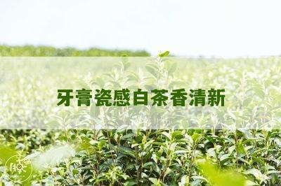 牙膏瓷感白茶香清新