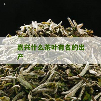 嘉兴什么茶叶有名的出产