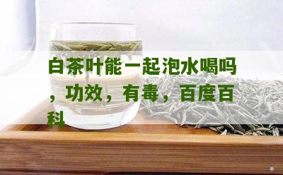 白茶叶能一起泡水喝吗，功效，有毒，百度百科