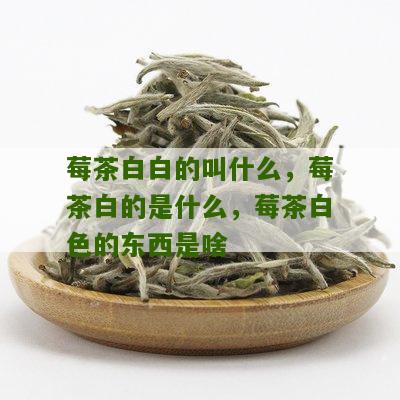 莓茶白白的叫什么，莓茶白的是什么，莓茶白色的东西是啥